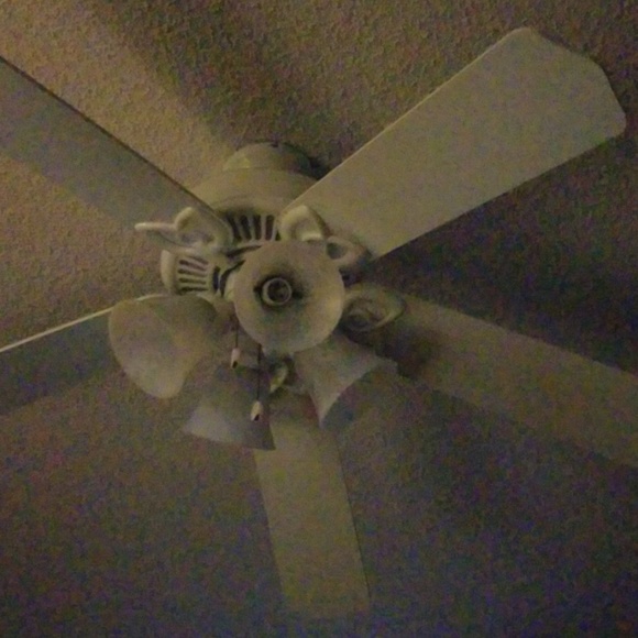 Meet your Posher, Abdul - Picture 1 of 1